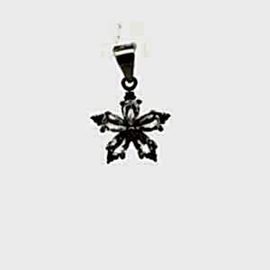 Pendent/Earrings