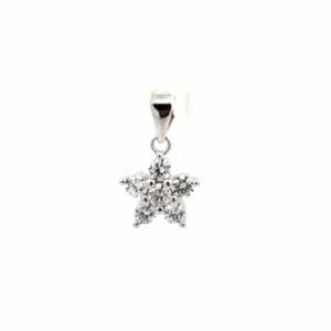 Pendent/Earrings
